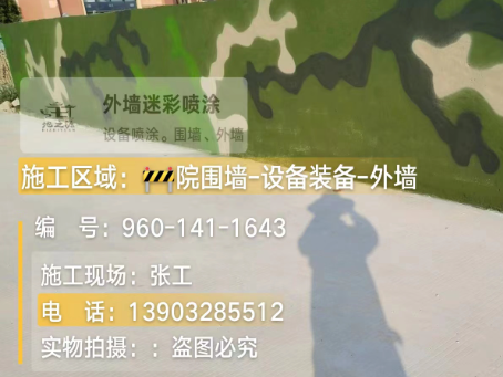 随州 迷彩漆喷涂价格（按平方米计费）